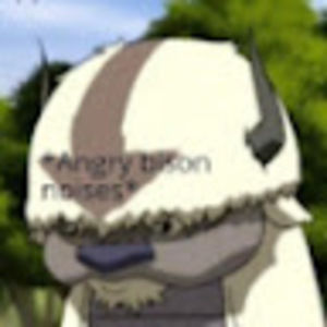 Meet your Posher, Benjamin